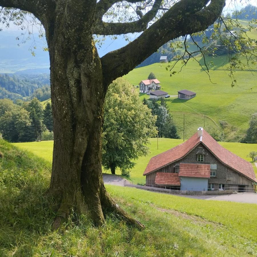 Dom Wiejski Artur Goldingen Exterior foto